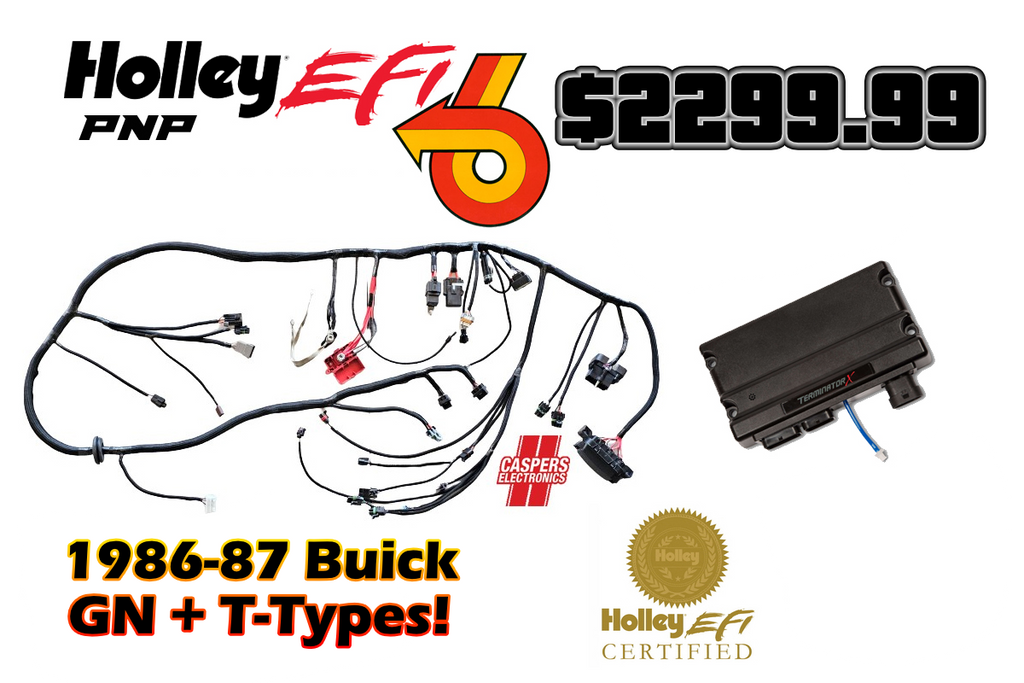 Holley EFI Plug and Play Terminator X Package for Turbo Buick V6 Engines