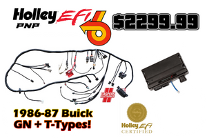 Holley EFI Plug and Play Terminator X Package for Turbo Buick V6 Engines