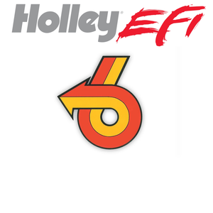 Holley EFI Plug and Play Terminator X Package for Turbo Buick V6 Engines